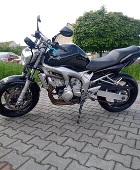 Frazer fz6n - 2