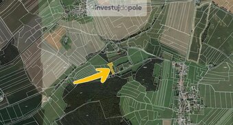 Prodej pole v k.ú. Dlažov - 2