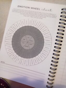 Mental health journal - 2