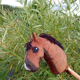 Hobby horse - 2
