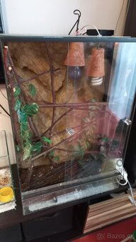 Terárium 80x55x35 - 2