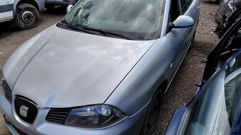 Seat Ibiza - 2