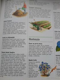Kniha... - 2