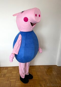 Maskot/kostým Peppa pig - 2