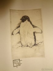 Obrázek Tučňák - autor Josef Čejka - 2