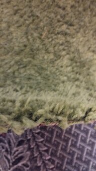 Kobereček zelený - 2