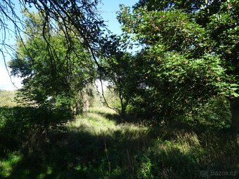 Zahrada - Žatec - 2