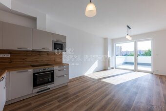Pronájem bytu 2+kk, 65 m2 - Plzeň - Skvrňany, ev.č. 00733 - 2
