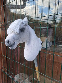 Hobby Horse - 2