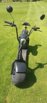 Elektrochopper EcoBen - 2