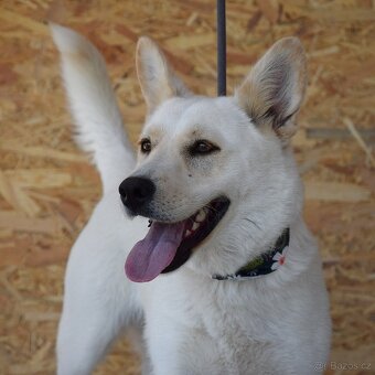 🌸 Zaira – veselá parťačka do života 🌸 - 2