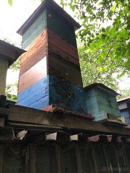 Včelí oddělky - 2