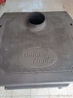 Kamna Bella thalia - 2