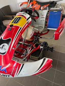 Motokára KZ 125ccm Birelart TM - 2