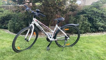 Kolo Maxbike C200 Cross - 2
