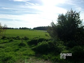 ZDARMA BYDLENÍ nezadané ženě v Hranicích u Aše - 2