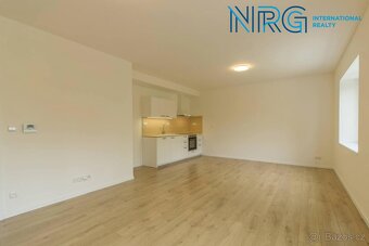 Pronájem bytu 3 +kk, 100m2 ve vila - domě, s oplocenou za - 2