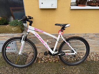 Dámské/ holčičí horské kolo - 2