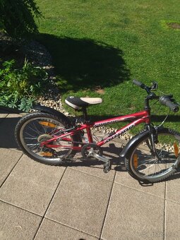 Kolo Author Cosmic - 2