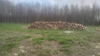 Palivové dřiví - 2