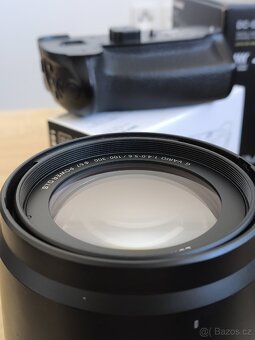 Panasonic Lumix G VARIO 100-300 mm f/4,0-5,6 II - 2