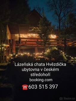 Různé opravy truhlářské, zednické - 2