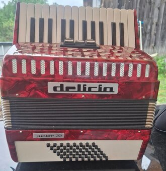 Akordeon delicia junior 22,48 bas - 2