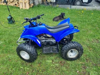 Prodám dětskou čtyřkolku 90ccm - 2