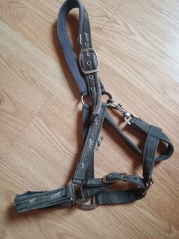 Ohlávky Waldhausen s koníčky - 2