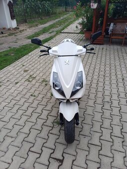 PEUGEOT JETFORCE 50 2T 2009 - 2