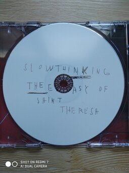 The Ecstasy of Saint Theresa. -Slow thinking - 2