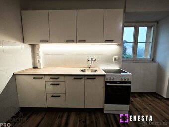 Pronájem bytu 2+kk 45 m², Tursko - 2