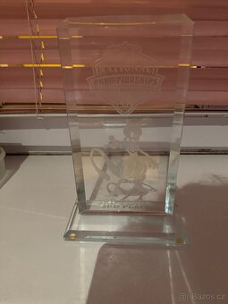 Pokemon trophy z nationals 2005-2006 - 2