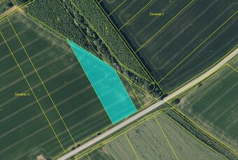 Prodej pole nedaleko okresního města – 6 067 m² - kú Věžky - 2