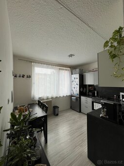 Pronájem bytu 1+1 - 2