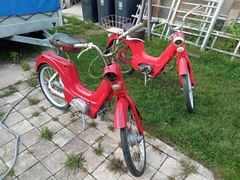 Jawetta 551 - 2