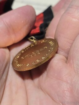 Pamětní medaile na připojení Sudet - 2