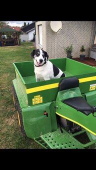 Gator John Deere - 2
