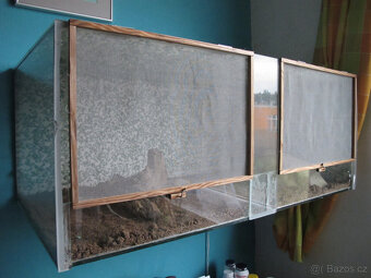 Terárium pro hada - 2