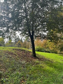 3+1 ZLIN u 17.ZS - 2