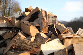 SUCHÉ štípané palivové dřevo - 2