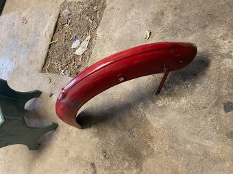 Blatník jawetta - 2