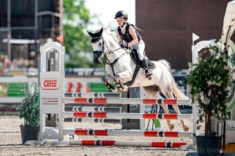 Sportovní pony B klisna - 2