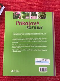 Gutsy Leadership,Monet, Pokojové rostliny - 2