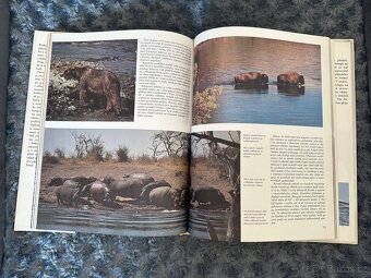 Migrace zvířat - John Cloudsley - 2