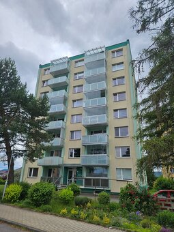 Prodej bytu 3+1+L, sídliště Holý vrch - 2