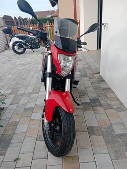 Benelli BN 251 - 2