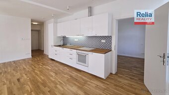 Pronájem nadstandardního bytu 3+kk, 73 m2 s výhledem na radn - 2