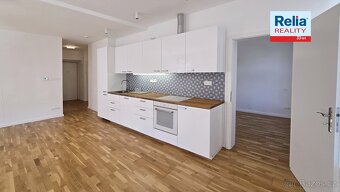 Pronájem nadstandardního bytu 3+kk, 73 m2 s výhledem na radn - 2