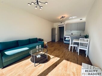 Pronájem bytu 1+kk 33 m² Tetauerova, Praha - Žižkov - 2